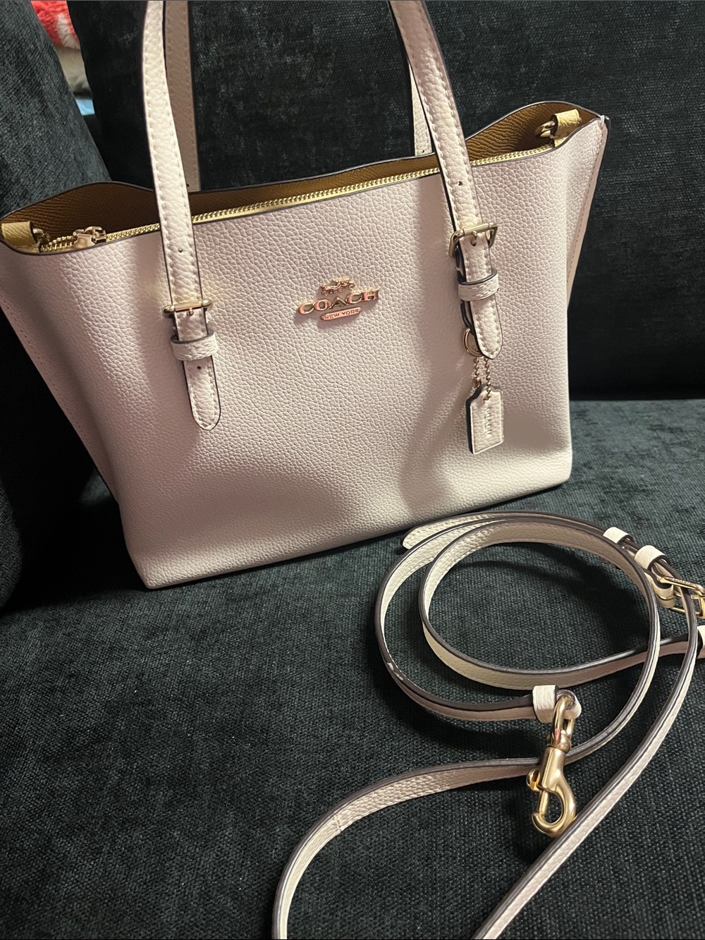Coach Pebbled Leather Tote in Chalk with Gold Hardware